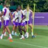 Fiorentina: Kean in gruppo, Brescianini a parte
