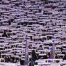 Fiorentina, oltre 12.000 abbonamenti sottoscritti
