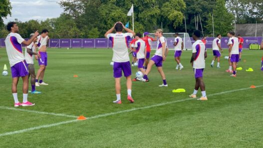 Fiorentina, bilancio del ritiro: promossi e rimandati