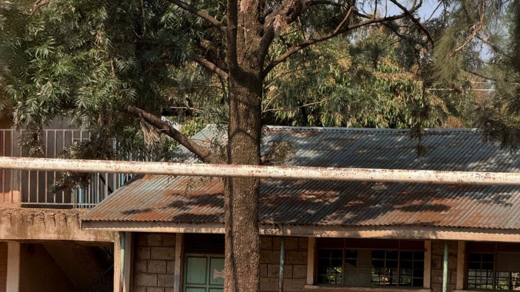 Dalla Toscana al Kenya: una nuova Fiorentina nasce a Kisumu