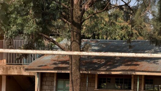 Dalla Toscana al Kenya: una nuova Fiorentina nasce a Kisumu