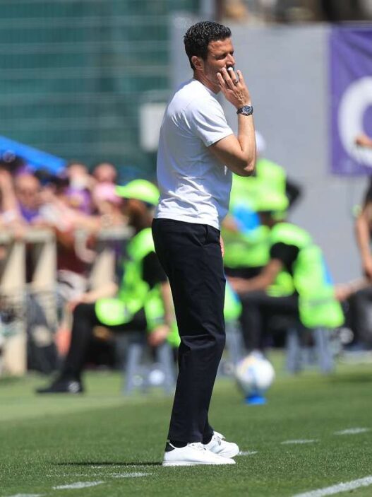 Fiorentina: Grosso decide il futuro di due centrocampisti