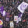 Curva Fiesole: "Festeggiamo i 100 anni della Fiorentina!"