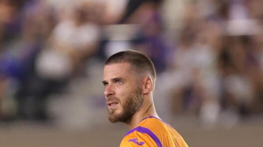 Fiorentina, De Gea cerca certezze tra i pali
