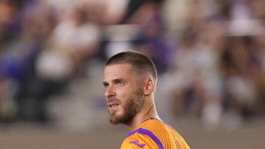 Fiorentina, De Gea cerca certezze tra i pali