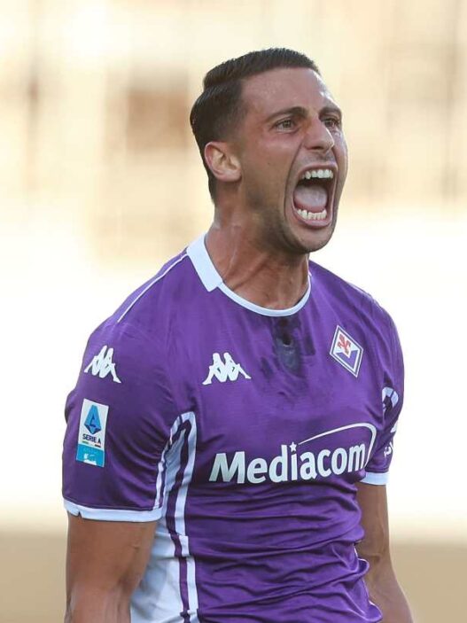 Fiorentina-Torino: incroci speciali tra ex giocatori