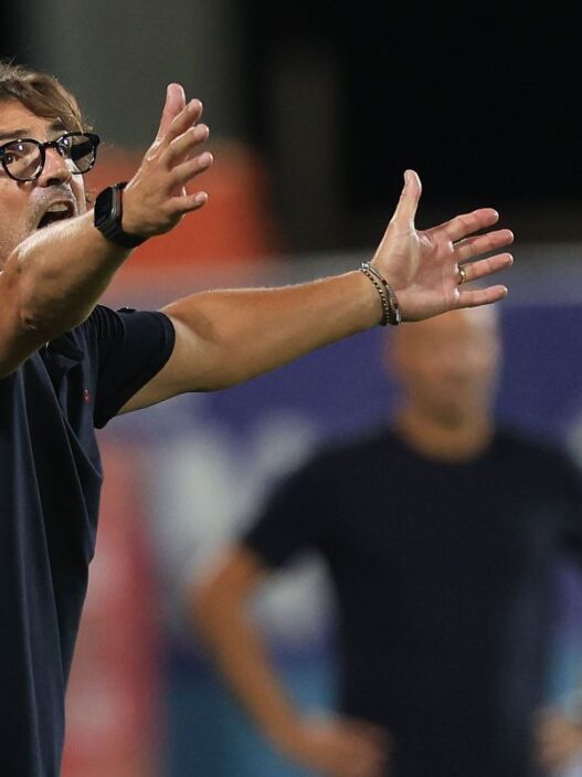 La Fiorentina di Vanoli: Pellegrino e le nuove soluzioni tattiche
