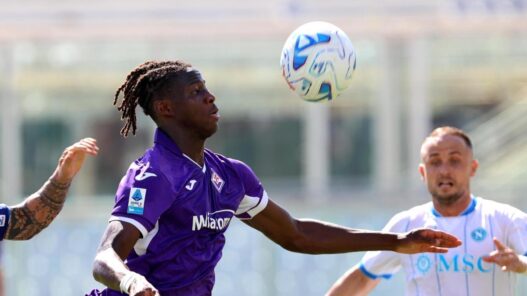 Fiorentina, un'analisi: 'Pianta appariscente ma ancora acerba'