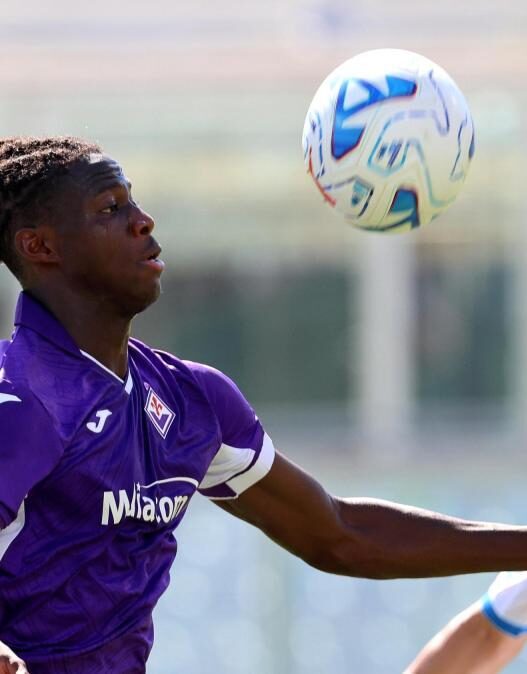 Fiorentina, un'analisi: 'Pianta appariscente ma ancora acerba'