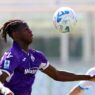 Fiorentina, un'analisi: 'Pianta appariscente ma ancora acerba'