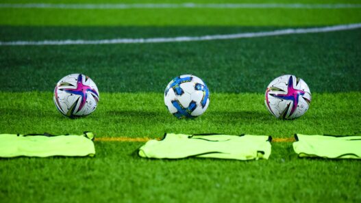Fiorentina, bilancio di una stagione da dimenticare: problemi e soluzioni