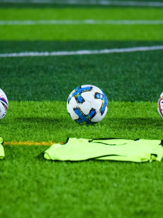 Fiorentina, bilancio di una stagione da dimenticare: problemi e soluzioni