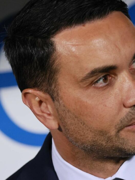 Palladino rifiuta l'estero: attende progetti in Italia o Inghilterra