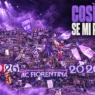 Fiorentina, multe per cori: serve un "becerometro"?