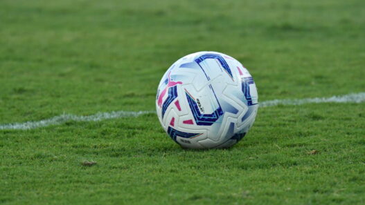 Pettinari: "Calcio italiano in mano a incompetenti"