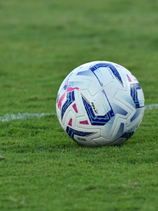 Pettinari: "Calcio italiano in mano a incompetenti"