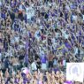 Fiorentina: la tifoseria resta fedele, Franchi quasi sold-out