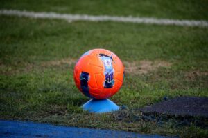 Fiorentina: 150 milioni di investimenti, bilancio e ricavi