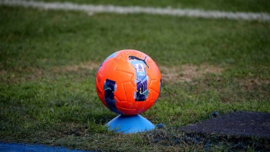 Fiorentina: 150 milioni di investimenti, bilancio e ricavi