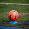 Fiorentina: 150 milioni di investimenti, bilancio e ricavi